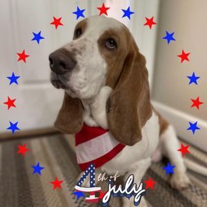 Meet your Posher, Kari